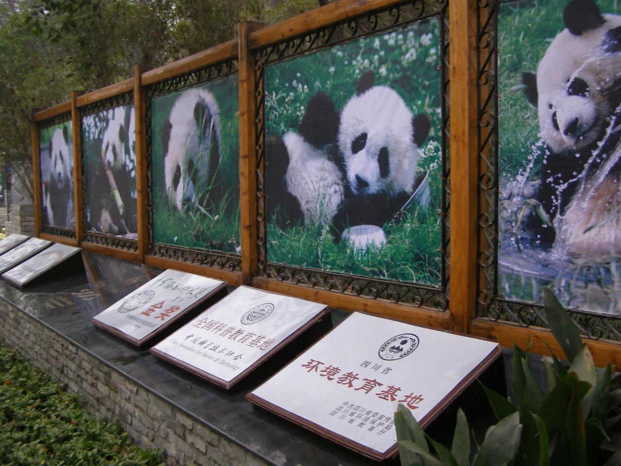成都大熊猫教育研究基地