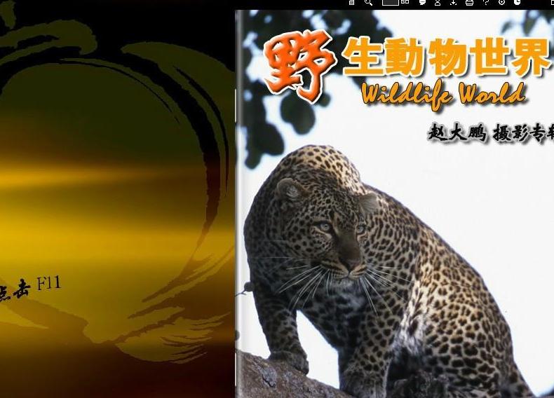 中国野生动物保护协会电子杂志